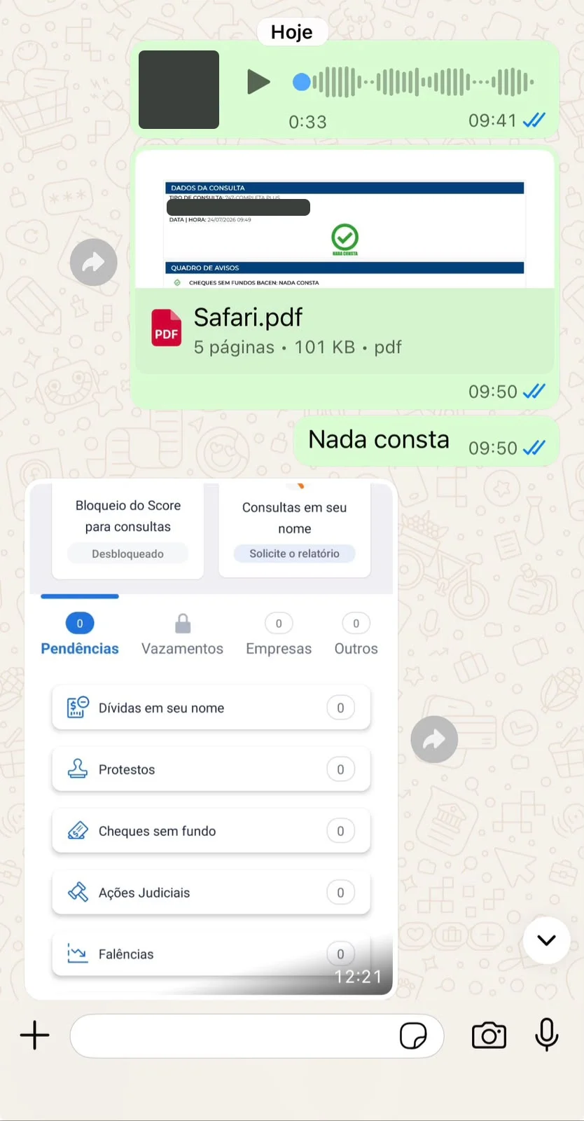 Conversa com relatório de consulta e tela do app Serasa sem pendências